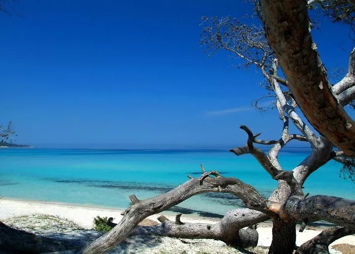 Apartment Maisonnette Dans Un Cadre Exceptionnel Entre Et Montagne