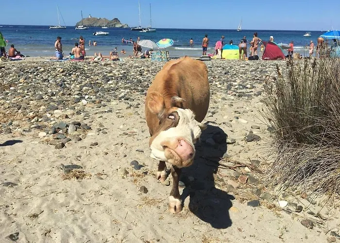 Maisonnette Dans Un Cadre Exceptionnel Entre Et Montagne Apartment *