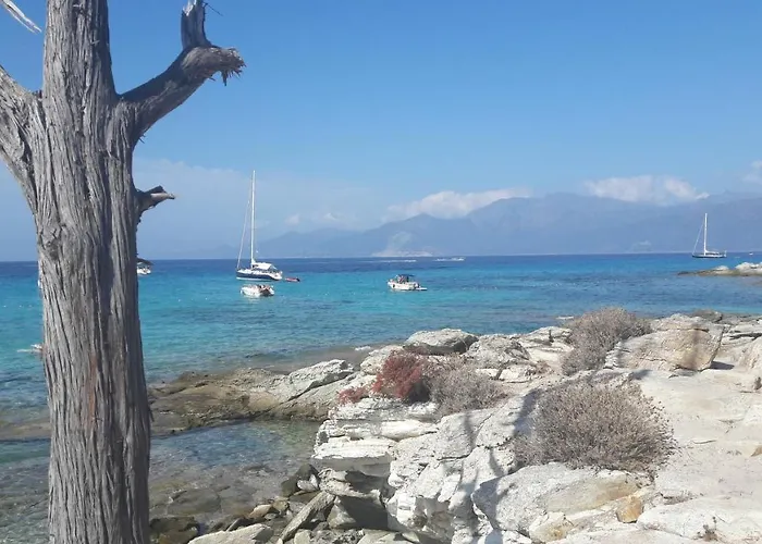 Maisonnette Dans Un Cadre Exceptionnel Entre Et Montagne * Brando